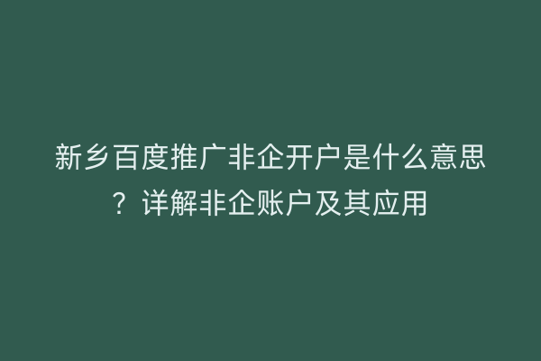 新乡百度推广非企开户是什么意思？详解非企账户及其应用
