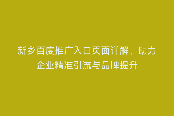新乡百度推广入口页面详解,助力企业精准引流与品牌提升