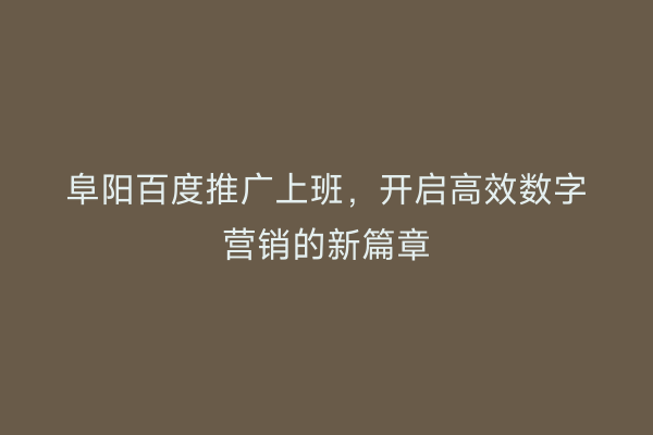 阜阳百度推广上班，开启高效数字营销的新篇章