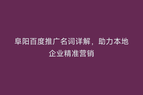 阜阳百度推广名词详解，助力本地企业精准营销