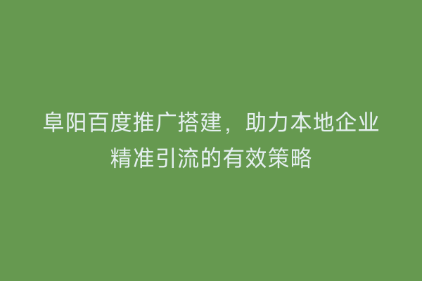 阜阳百度推广搭建,助力本地企业精准引流的有效策略