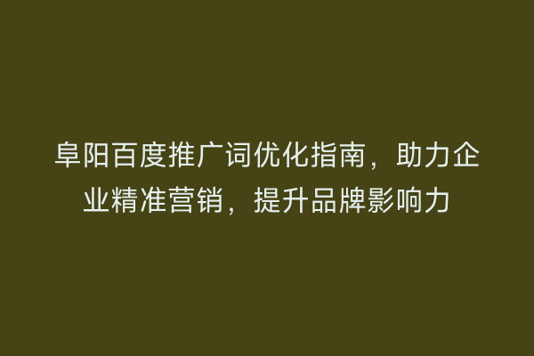 阜阳百度推广词优化指南，助力企业精准营销，提升品牌影响力