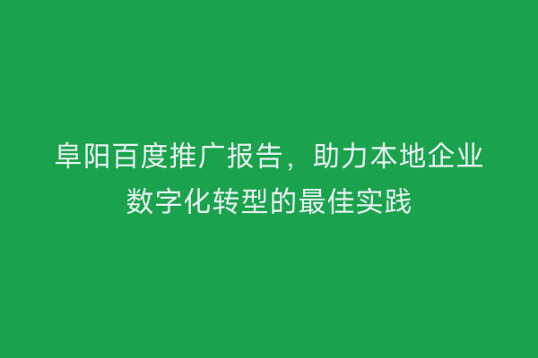 阜阳百度推广报告,助力本地企业数字化转型的最佳实践