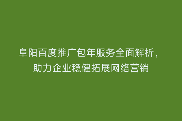 阜阳百度推广包年服务全面解析,助力企业稳健拓展网络营销