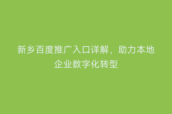 新乡百度推广入口详解，助力本地企业数字化转型