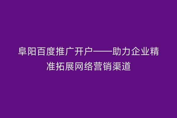 阜阳百度推广开户——助力企业精准拓展网络营销渠道