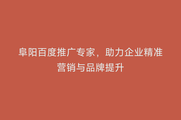 阜阳百度推广专家,助力企业精准营销与品牌提升