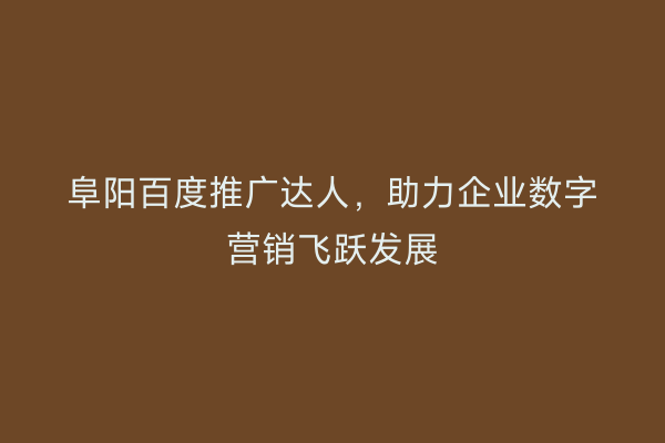 阜阳百度推广达人,助力企业数字营销飞跃发展