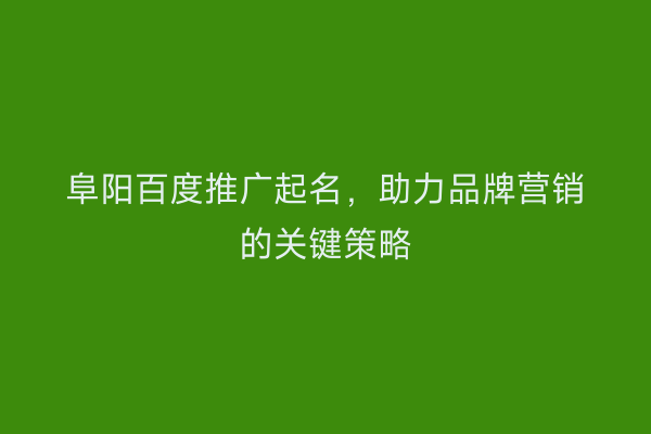 阜阳百度推广起名,助力品牌营销的关键策略