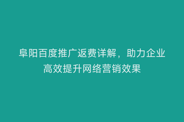 阜阳百度推广返费详解,助力企业高效提升网络营销效果