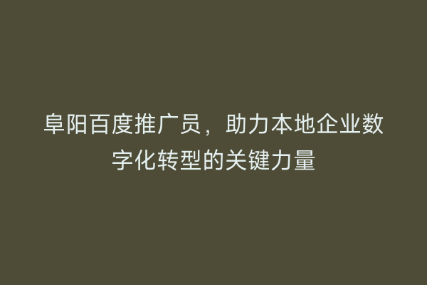 阜阳百度推广员,助力本地企业数字化转型的关键力量