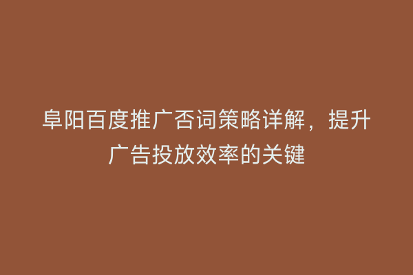 阜阳百度推广否词策略详解,提升广告投放效率的关键