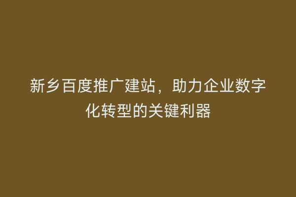 新乡百度推广建站,助力企业数字化转型的关键利器