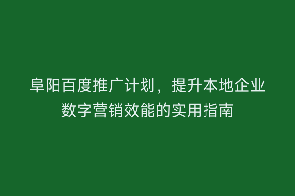 阜阳百度推广计划,提升本地企业数字营销效能的实用指南