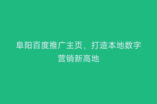 阜阳百度推广主页,打造本地数字营销新高地