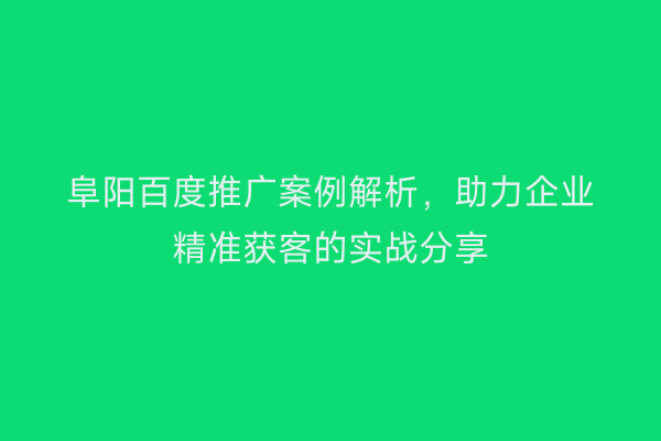 阜阳百度推广案例解析,助力企业精准获客的实战分享