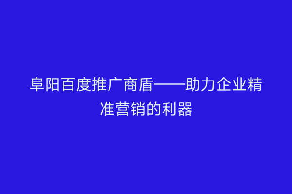 阜阳百度推广商盾——助力企业精准营销的利器