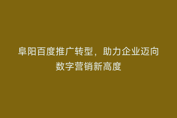 阜阳百度推广转型,助力企业迈向数字营销新高度