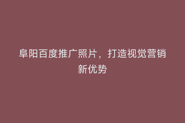 阜阳百度推广照片,打造视觉营销新优势