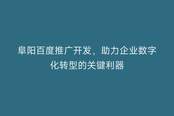 阜阳百度推广开发，助力企业数字化转型的关键利器