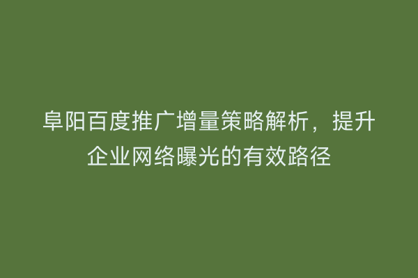阜阳百度推广增量策略解析，提升企业网络曝光的有效路径