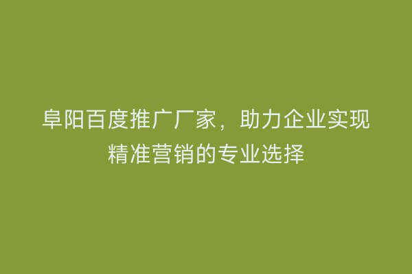 阜阳百度推广厂家,助力企业实现精准营销的专业选择