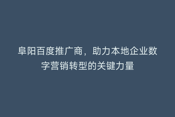 阜阳百度推广商,助力本地企业数字营销转型的关键力量