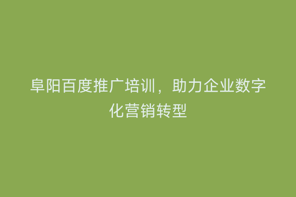 阜阳百度推广培训,助力企业数字化营销转型