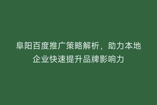 阜阳百度推广策略解析,助力本地企业快速提升品牌影响力