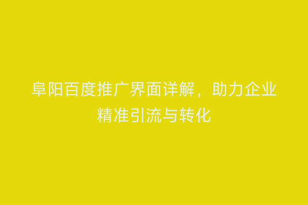 阜阳百度推广界面详解，助力企业精准引流与转化