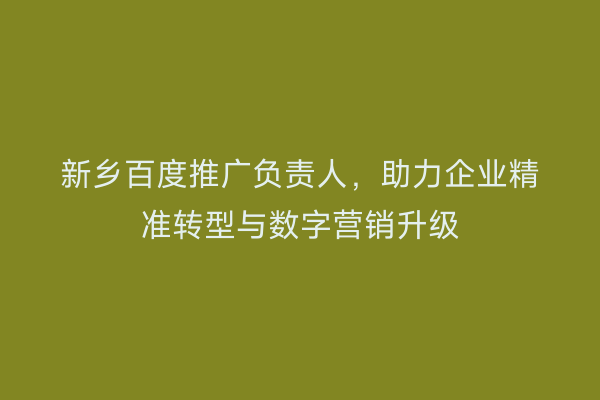 新乡百度推广负责人，助力企业精准转型与数字营销升级