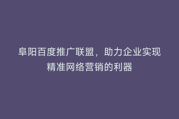 阜阳百度推广联盟，助力企业实现精准网络营销的利器