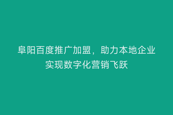 阜阳百度推广加盟,助力本地企业实现数字化营销飞跃