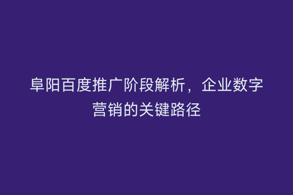 阜阳百度推广阶段解析，企业数字营销的关键路径