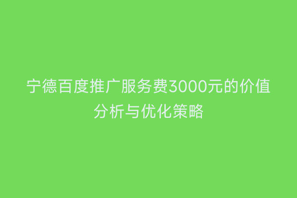 宁德百度推广服务费3000元的价值分析与优化策略