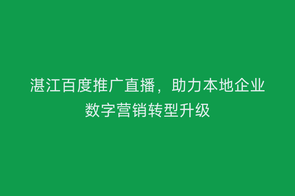 湛江百度推广直播,助力本地企业数字营销转型升级