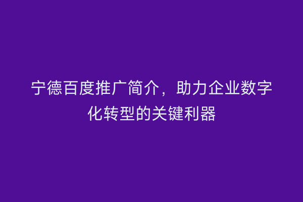 宁德百度推广简介,助力企业数字化转型的关键利器