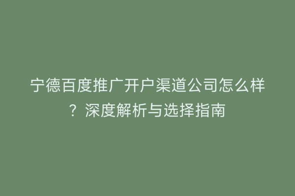 宁德百度推广开户渠道公司怎么样?深度解析与选择指南