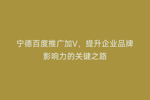 宁德百度推广加V,提升企业品牌影响力的关键之路