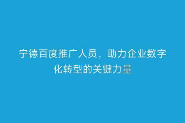 宁德百度推广人员,助力企业数字化转型的关键力量