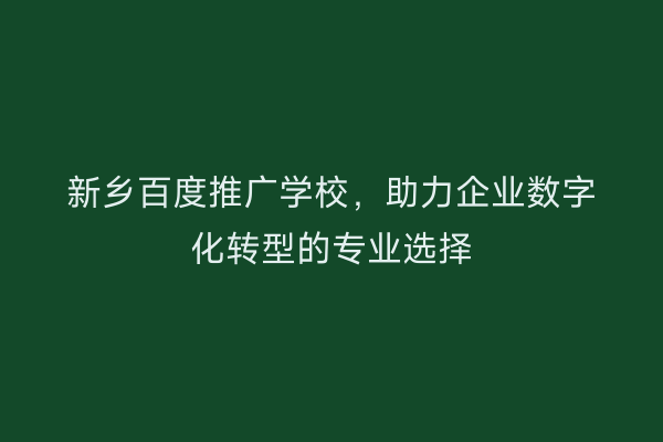 新乡百度推广学校,助力企业数字化转型的专业选择