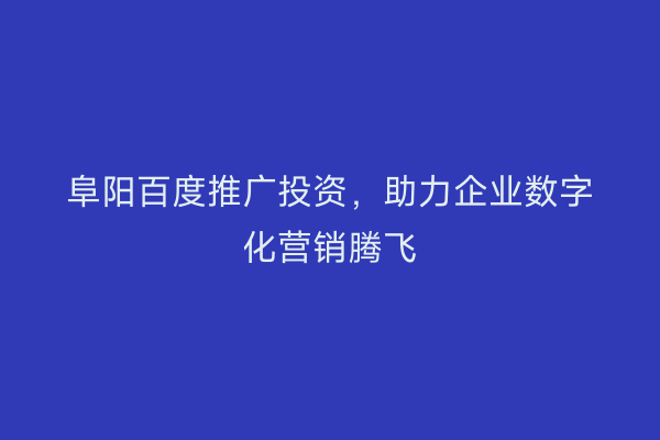 阜阳百度推广投资,助力企业数字化营销腾飞
