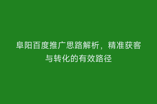 阜阳百度推广思路解析,精准获客与转化的有效路径