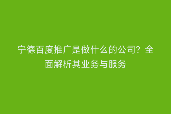 宁德百度推广是做什么的公司?全面解析其业务与服务