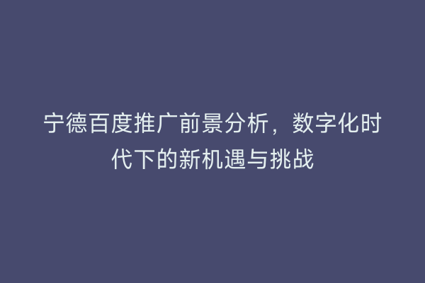 宁德百度推广前景分析,数字化时代下的新机遇与挑战