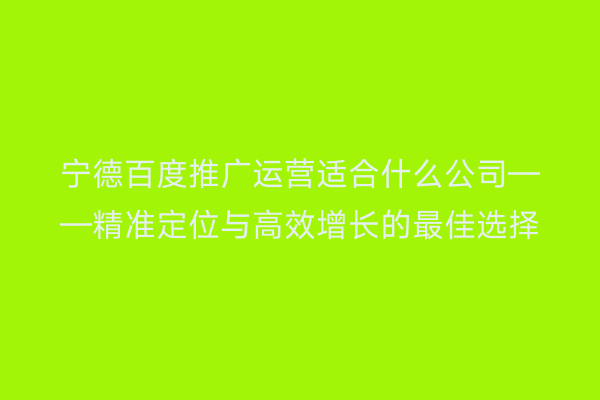 宁德百度推广运营适合什么公司——精准定位与高效增长的最佳选择
