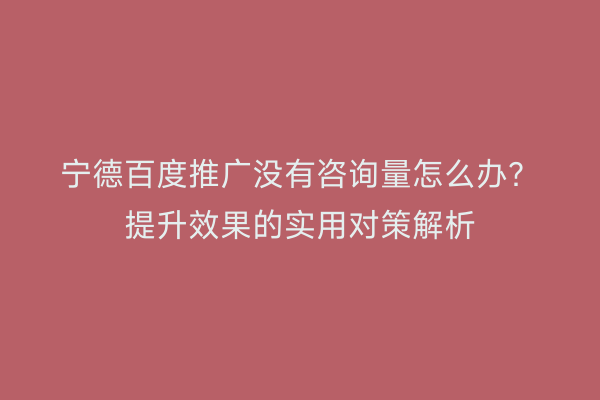 宁德百度推广没有咨询量怎么办?提升效果的实用对策解析