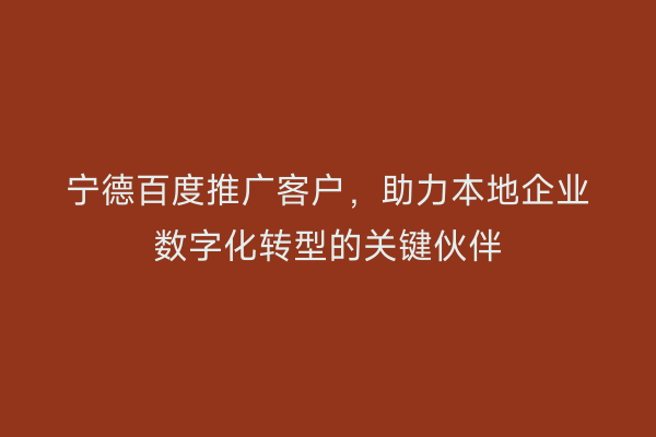 宁德百度推广客户,助力本地企业数字化转型的关键伙伴