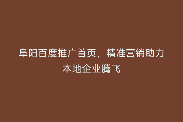 阜阳百度推广首页,精准营销助力本地企业腾飞