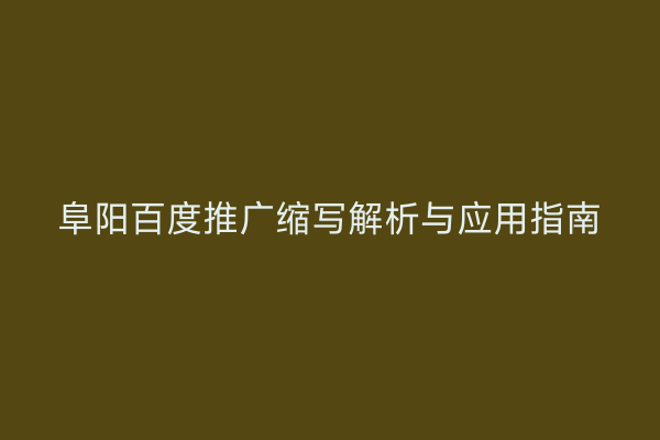 阜阳百度推广缩写解析与应用指南